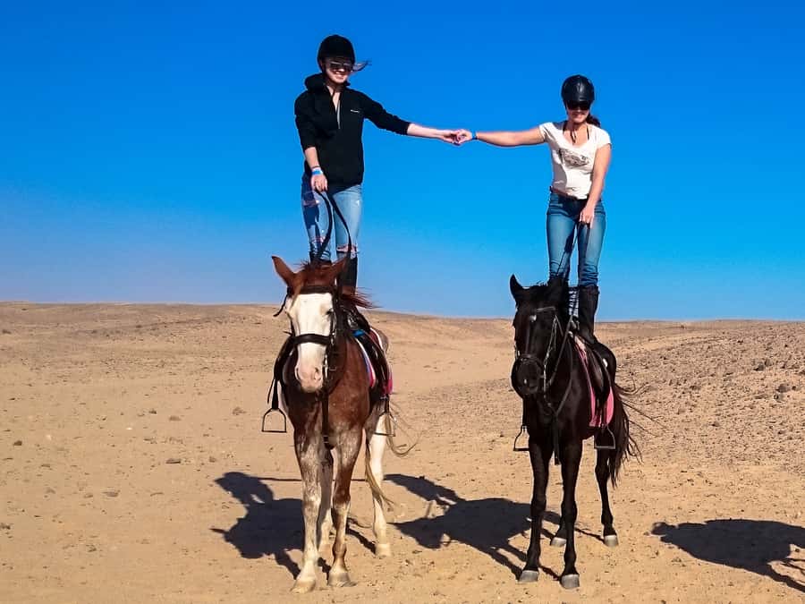 Hurghada: Sunset Sea, Desert Horse W Opt, Dinner, Stargazing - Small groups, trained horses, and guides who matter