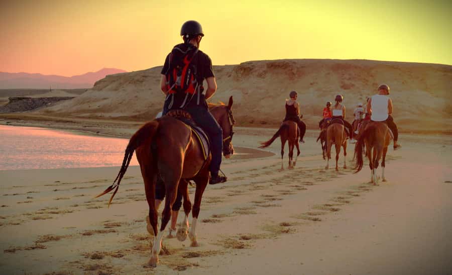 Hurghada: Sunset Sea, Desert Horse W Opt, Dinner, Stargazing - Price and value: what $29 really buys you