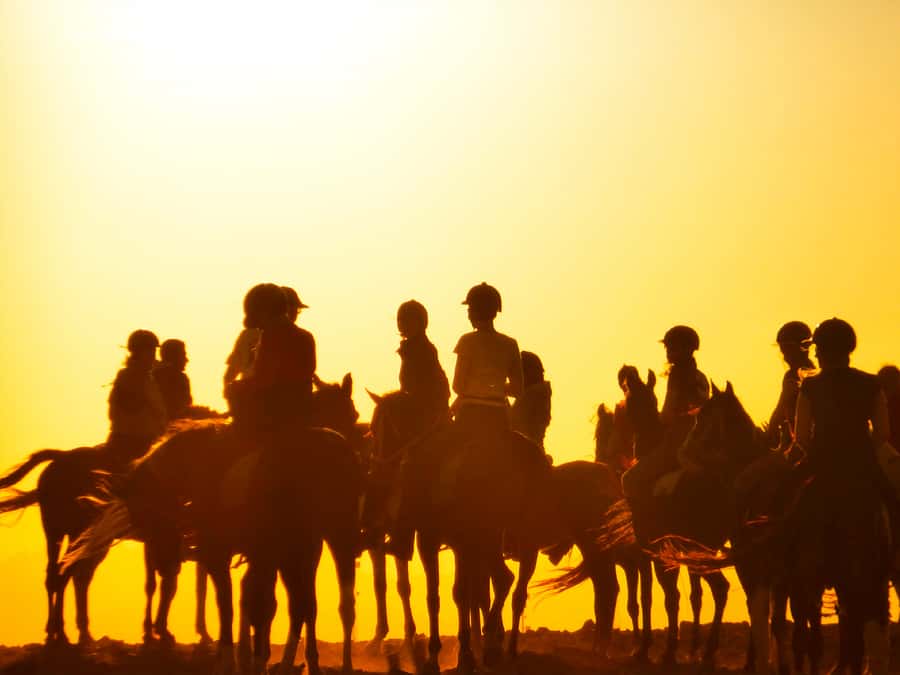 Hurghada: Sunset Sea, Desert Horse W Opt, Dinner, Stargazing - Timing reality: how long it feels, and how far you may travel