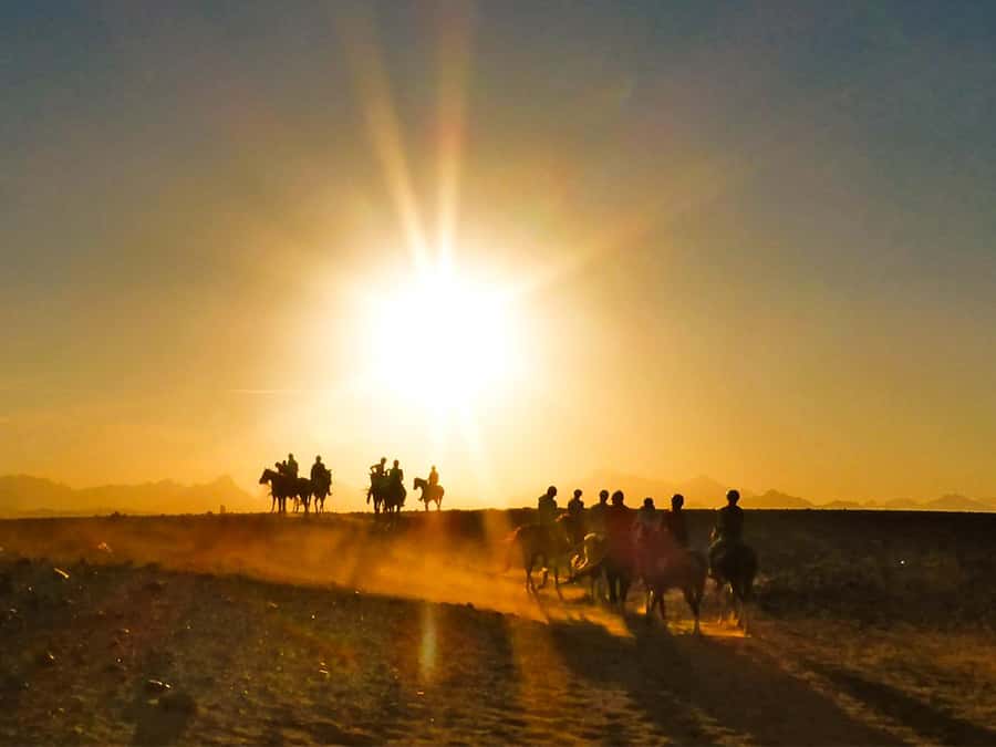 Hurghada: Sunset Sea, Desert Horse W Opt, Dinner, Stargazing - Desert horse riding: what you can expect on the ground