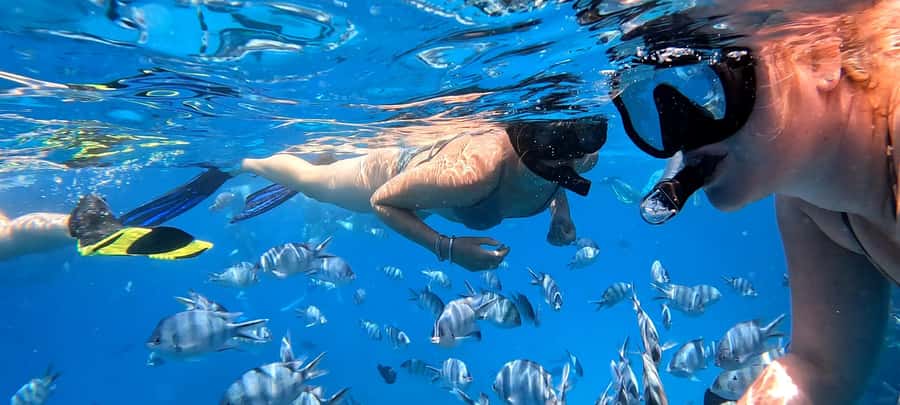 Hurghada: White Island Speedboat Tour, Snorkeling, & Lunch - Boat comfort and small details that add up