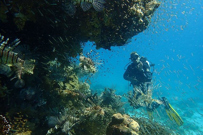 Intro Diving 2 Stops For Beginners with Pick-up and Lunch - Hurghada - Two Underwater Sessions on the Red Sea: What 15 Minutes Really Means