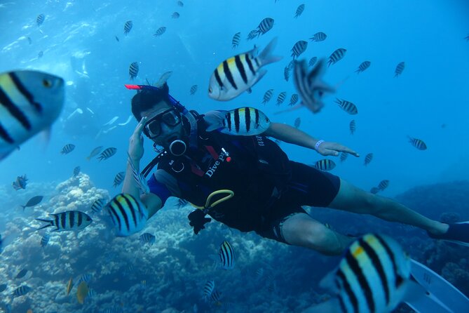 Intro Diving 2 Stops For Beginners with Pick-up and Lunch - Hurghada - Price and Value: Why $40 Can Be a Deal, If You Budget the Extras