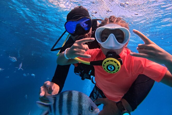 Intro Diving Beginner and Discover Red Sea Underwater - Key highlights you will feel right away