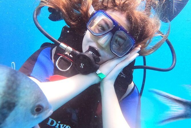 Intro Diving Beginner and Discover Red Sea Underwater - Two underwater sessions, plus the part beginners need most
