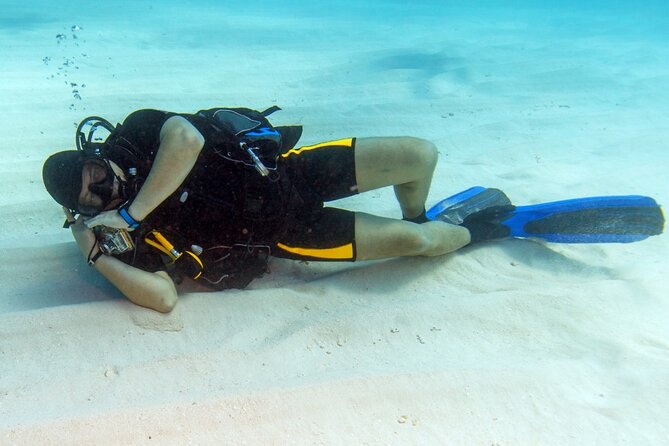 Intro Diving for Beginners 2 Stops Diving with Lunch - Hurghada - Hurghada Pickup, Boat Ride, and Your 8:00 am Start