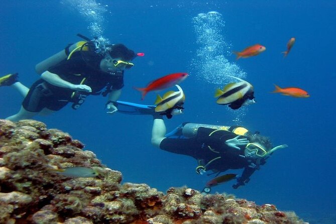 Intro Diving for Beginners 2 Stops Diving with Lunch - Hurghada - Gear and Instructor Support: Why This Works for Beginners