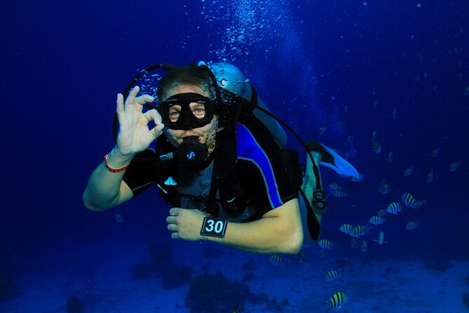 Intro Scuba Diving: 2 Dive Stops With Lunch & transfer - Hurghada - Why this intro scuba day in Hurghada feels beginner-friendly