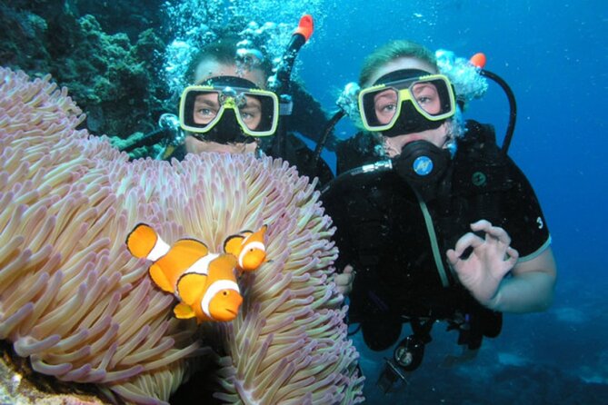 Intro Scuba Diving: 2 Dive Stops With Lunch & transfer - Hurghada - First underwater session: learning with a safety net