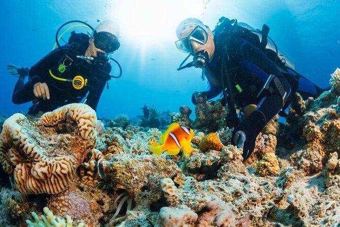 Intro Scuba Diving: 2 Dive Stops With Lunch & transfer - Hurghada - Equipment use and instructor support: the key to feeling safe