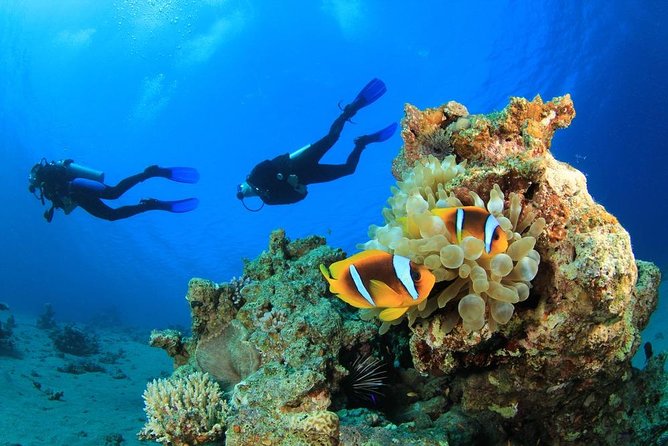 Intro Scuba Diving 2 Stops Trip with Transfers & Lunch - Hurghada - Hurghada two-stop scuba sessions: what you’re really buying
