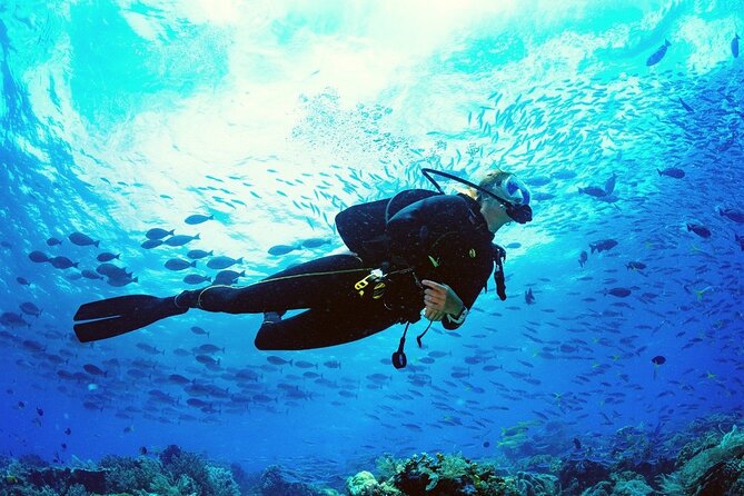 Intro Scuba Diving 2 Stops Trip with Transfers & Lunch - Hurghada - Price and fee math: why the total might be more than $18.05