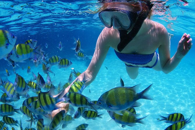 Intro Scuba Diving 2 Stops Trip with Transfers & Lunch - Hurghada - Who should book this Hurghada two-stop plan, and who should think twice
