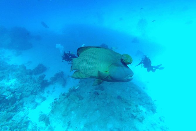 Intro Scuba Diving - On the boat: safety talk, suit fitting, and what staff actually do