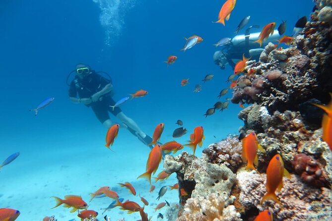 Intro Scuba Diving - What’s included, what costs extra, and why the price makes sense