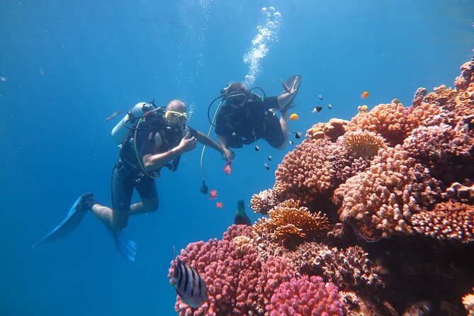 Intro Scuba Diving - Group size, timing, and how to prepare like a pro