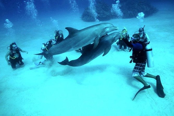 Intro Scuba Diving Beginners Full Day Boat Trip 2 Stops Diving & Lunch– Hurghada - Key things I’d clock before you go