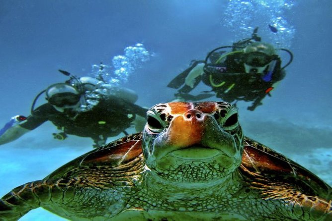 Intro Scuba Diving Beginners Full Day Boat Trip 2 Stops Diving & Lunch– Hurghada - Equipment Included Means One Less Thing to Stress About