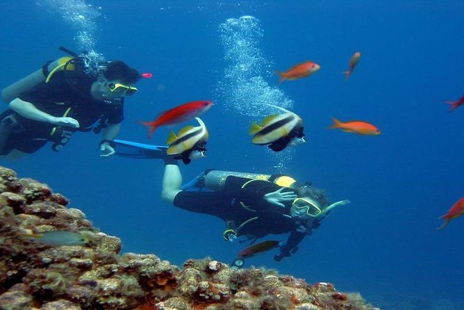 Intro Scuba Diving Beginners Full Day Boat Trip 2 Stops Diving & Lunch– Hurghada - Price and Value Breakdown: $20 That Can Be a Smart Deal