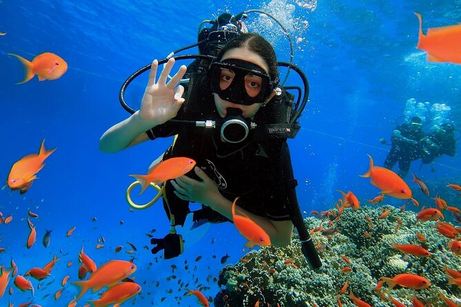 Introduction: Diving from the Reef in Sharm El Sheikh - Key things to know before you go
