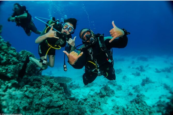 Introduction: Diving from the Reef in Sharm El Sheikh - What This Intro Scuba Session Really Means (Not Certification)