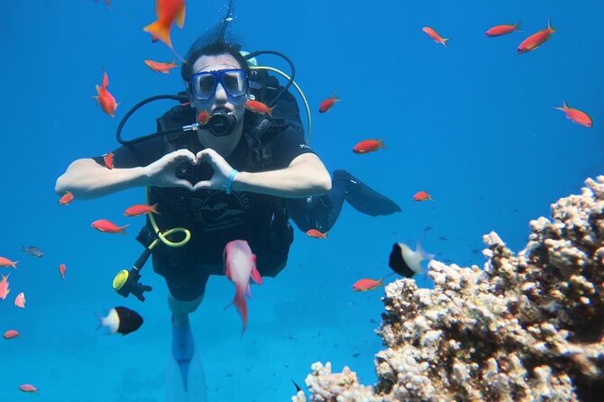 Introduction: Diving from the Reef in Sharm El Sheikh - Meeting, Gear, and the PADI Instructor Part You Will Actually Care About