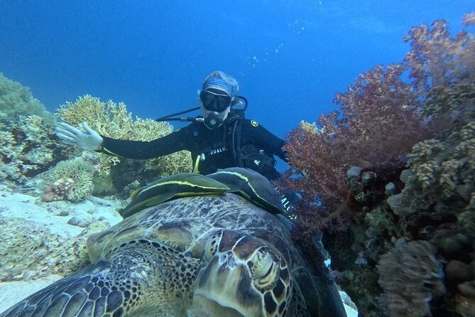Introduction: Diving from the Reef in Sharm El Sheikh - Small Details That Make the Experience Feel Smooth