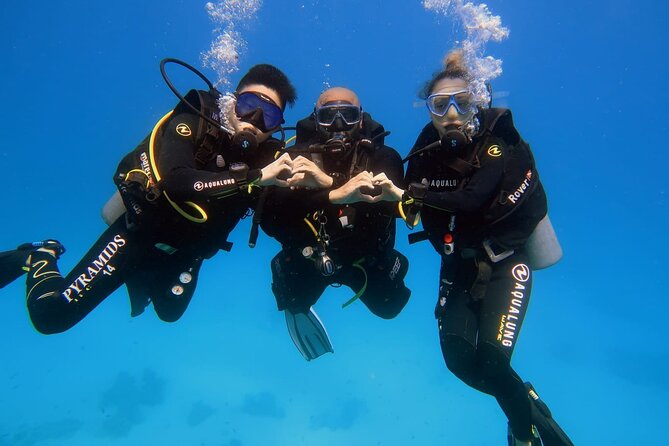 Introduction: Diving from the Reef in Sharm El Sheikh - Where You Go Underwater: Reef Entrances, Fish, and That Temple-Column Effect