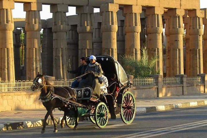 Karnak And Luxor Temples Private Tour - Why a private Karnak and Luxor Temple day makes sense