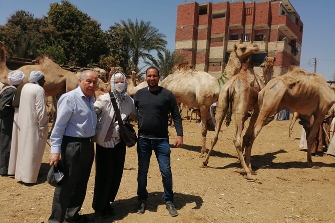 Luxor Airport Private transfer to your hotel or vice versa - Private means just your group, not a shared shuffle