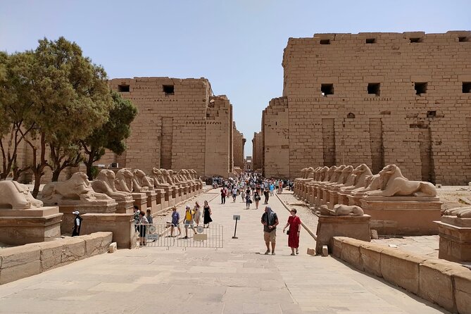 Luxor East Bank: Karnak and Luxor Temples (Private Tour) - Who should book this Luxor East Bank half-day tour, and who might skip it