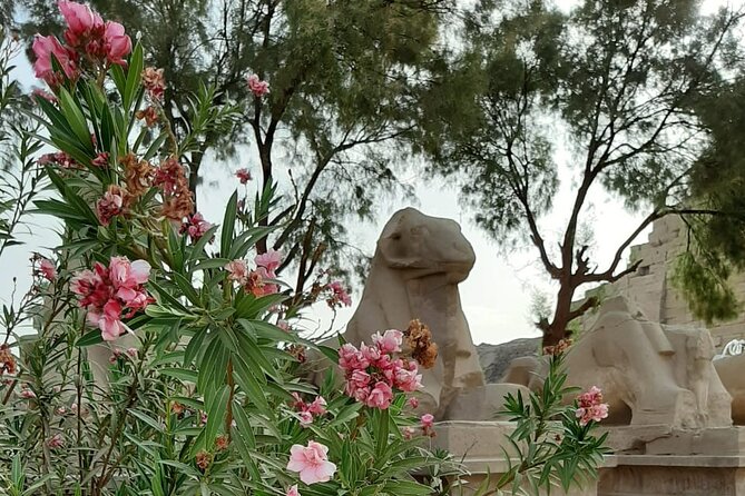Luxor Full Day Tour - Price, Entrance Fees, and Whether $100 Is Fair for a Private Day