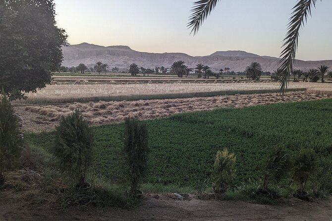 Luxor Half Day tour: Valley of the Kings, Hatshepsut and Memnon - Transfers, Pickup, and the Private-Group Advantage