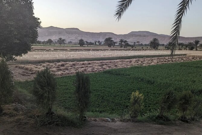 Luxor Half Day tour: Valley of the Kings, Hatshepsut and Memnon - Valley of the Kings: Tombs, Symbols, and How to Spend Your Two Hours