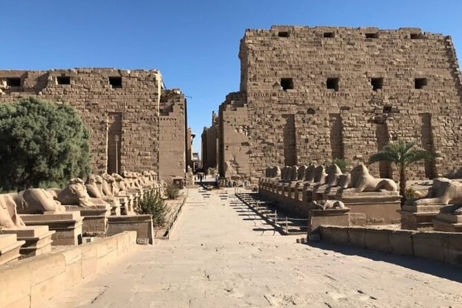 Luxor private excursion from Hurghada Makadi Bay Soma Bay Sahl Hasheesh Elgouna - Colossi of Memnon: short stop, big impact