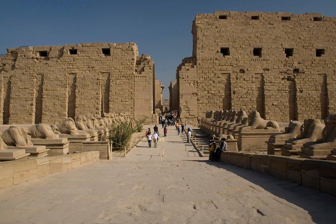 Luxor Private Full-Day Tour: Discover the East and West Banks of the Nile - Who this tour fits best