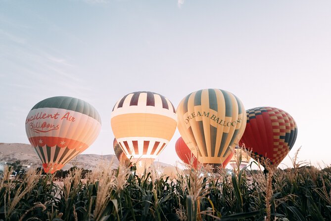 Luxury Balloon Ride in Luxor with Hotels Pickup - What You Can Actually See During the Ride