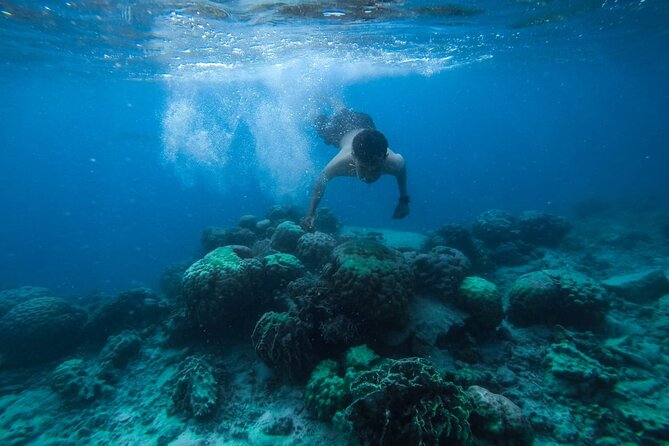 Luxury Cruise inc. Snorkeling/Massage/Island/water sport & Lunch - Giftun Islands and Orange Bay: time to see, time to chill