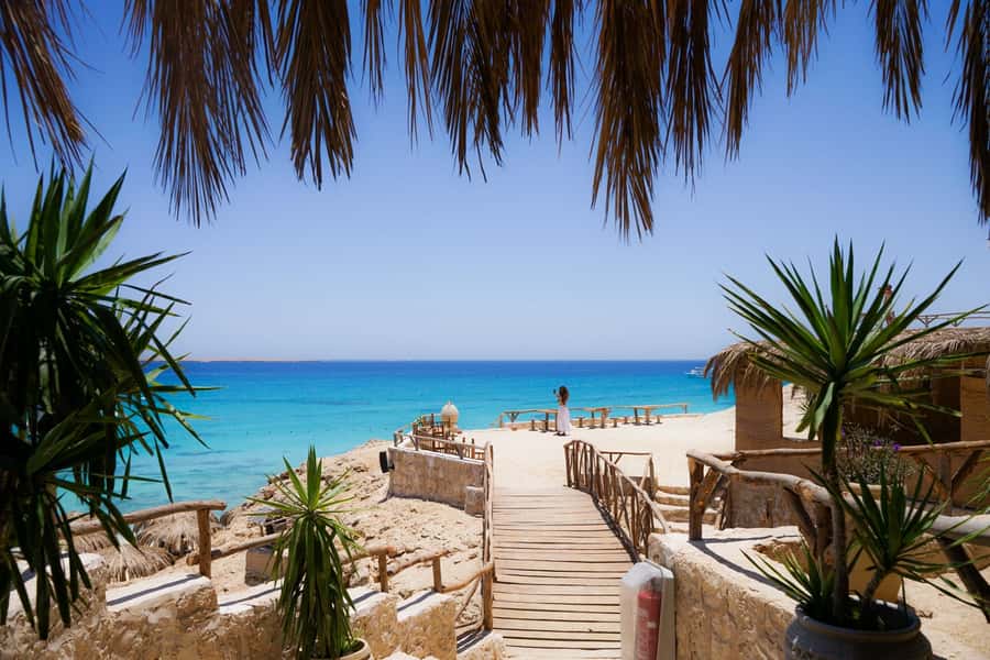 Mahmya Island: Red Sea Sailing Experience - Dolphin Chance and Marine Life: What to Watch For