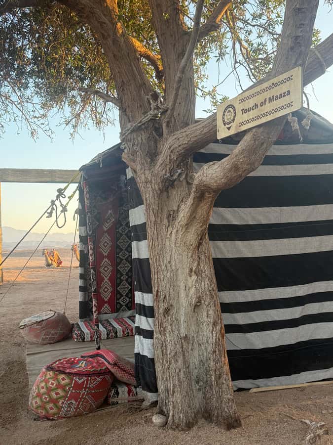 Makadi Bay: BADU Luxury Bedouin Dinner Experience & Stargaze - BADU Camp in Makadi Bay: a 4-hour Bedouin night with real hands-on bits
