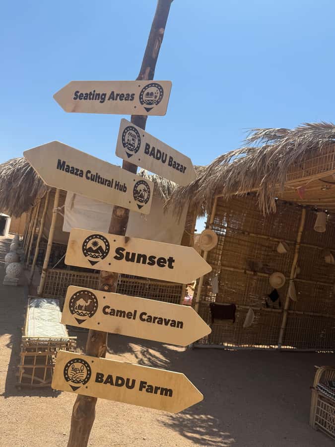 Makadi Bay: BADU Luxury Bedouin Dinner Experience & Stargaze - Stargazing in the Makadi Bay desert: what the expert guide does for you
