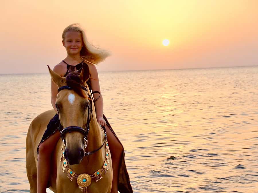Makadi Bay: Horse Riding in Desert & Sea w Guide + Transfers - Key Things to Know Before You Saddle Up