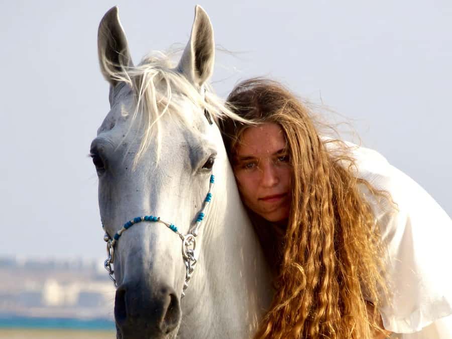 Makadi Bay: Horse Riding in Desert & Sea w Guide + Transfers - Makadi Bay: Desert Hooves and Red Sea Sparkle