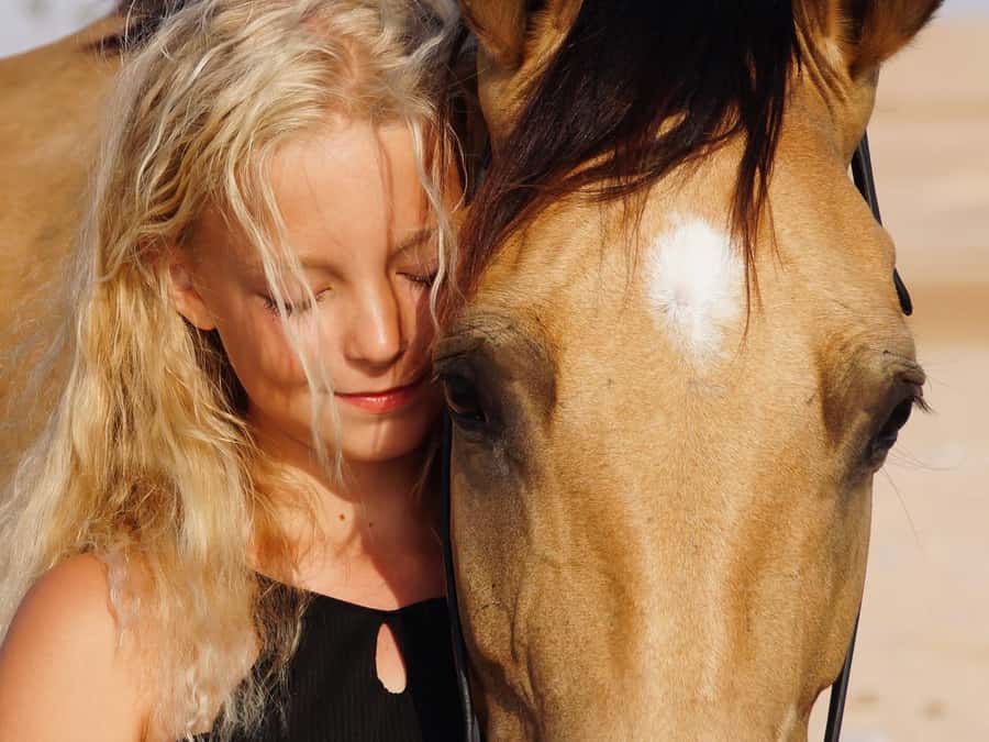 Makadi Bay: Horse Riding in Desert & Sea w Guide + Transfers - Meet Your Horse, Then Ride Through Sand and Sea Light