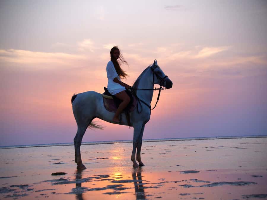 Makadi Bay: Horse Riding in Desert & Sea w Guide + Transfers - Riding Styles, Gallops, and What to Expect If You’re a Beginner