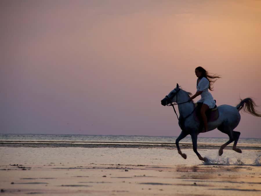 Makadi Bay: Horse Riding in Desert & Sea w Guide + Transfers - Small Details That Can Change Your Day
