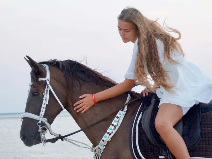 Makadi Bay: Horse Riding in Desert & Sea w Guide + Transfers - Who Should Book This Makadi Bay Horse Ride?