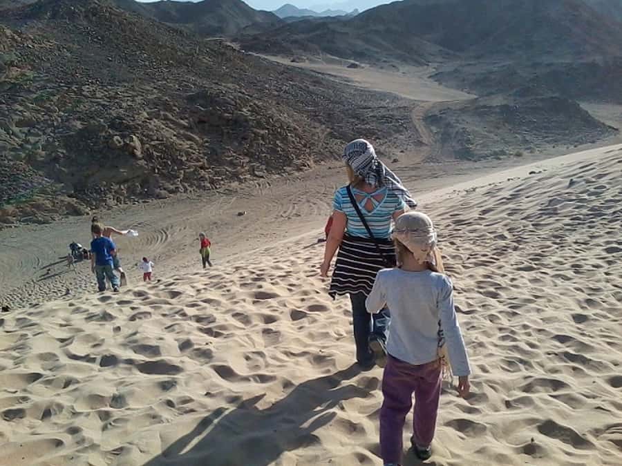 Makadi Bay: Jeep Safari Adventure with Bedouin guide - Who should book this Makadi Bay Jeep safari, and who should skip it