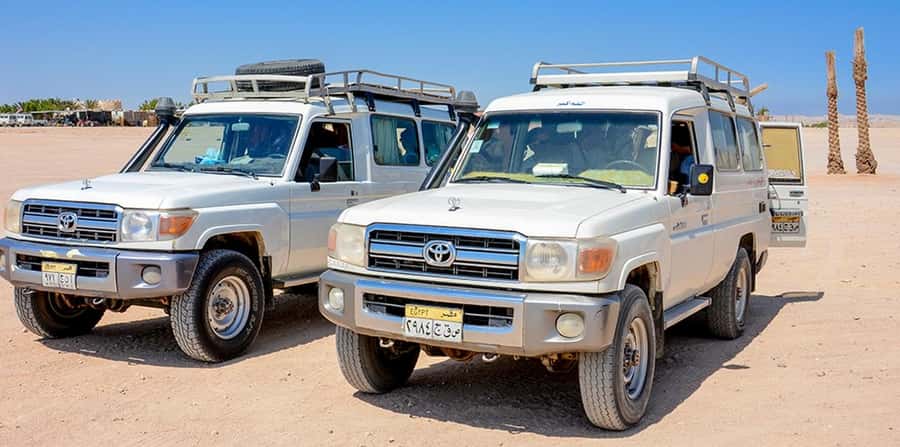 Makadi Bay: Mega Tour Jeep, ATV, Buggy, Camel, Dinner & Show - Timing, Extra Expenses, and Tipping Without Getting Confused