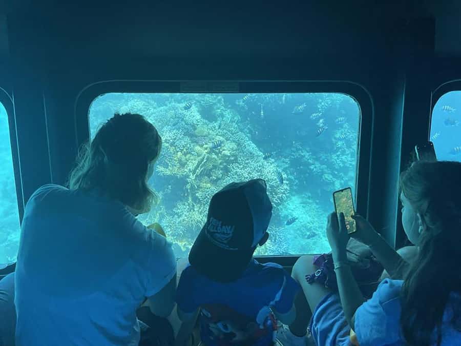 Makadi Bay: Royal Seascope Submarine Cruise & Snorkel stop - Key highlights worth planning for